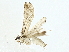  ( - BIOUG91402-B03)  @11 [ ] CreativeCommons - Attribution (2022) CBG Photography Group Centre for Biodiversity Genomics