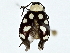  ( - BIOUG91402-F06)  @11 [ ] CreativeCommons - Attribution (2022) CBG Photography Group Centre for Biodiversity Genomics