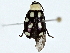 ( - BIOUG91402-F07)  @11 [ ] CreativeCommons - Attribution (2022) CBG Photography Group Centre for Biodiversity Genomics