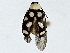  ( - BIOUG91402-F12)  @11 [ ] CreativeCommons - Attribution (2022) CBG Photography Group Centre for Biodiversity Genomics