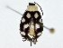  ( - BIOUG91402-G03)  @11 [ ] CreativeCommons - Attribution (2022) CBG Photography Group Centre for Biodiversity Genomics