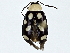  ( - BIOUG91403-D10)  @11 [ ] CreativeCommons - Attribution (2022) CBG Photography Group Centre for Biodiversity Genomics
