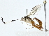  ( - BIOUG91403-E08)  @11 [ ] CreativeCommons - Attribution (2022) CBG Photography Group Centre for Biodiversity Genomics