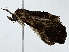  ( - BIOUG91403-G12)  @11 [ ] CreativeCommons - Attribution (2022) CBG Photography Group Centre for Biodiversity Genomics