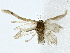  ( - BIOUG91404-F11)  @11 [ ] CreativeCommons - Attribution (2022) CBG Photography Group Centre for Biodiversity Genomics