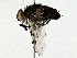  ( - BIOUG91404-H03)  @11 [ ] CreativeCommons - Attribution (2022) CBG Photography Group Centre for Biodiversity Genomics