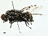  ( - BIOUG99527-H01)  @11 [ ] CreativeCommons - Attribution (2023) CBG Photography Group Centre for Biodiversity Genomics