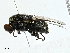  ( - BIOUG99527-H02)  @11 [ ] CreativeCommons - Attribution (2023) CBG Photography Group Centre for Biodiversity Genomics