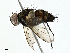  ( - BIOUG99528-A02)  @11 [ ] CreativeCommons - Attribution (2023) CBG Photography Group Centre for Biodiversity Genomics