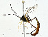  ( - BIOUG99529-A01)  @11 [ ] CreativeCommons - Attribution (2023) CBG Photography Group Centre for Biodiversity Genomics