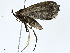  ( - BIOUG99529-B09)  @11 [ ] CreativeCommons - Attribution (2023) CBG Photography Group Centre for Biodiversity Genomics