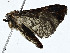  ( - BIOUG99530-F05)  @11 [ ] CreativeCommons - Attribution (2023) CBG Photography Group Centre for Biodiversity Genomics