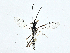  ( - BIOUG99544-G05)  @11 [ ] CreativeCommons - Attribution (2023) CBG Photography Group Centre for Biodiversity Genomics