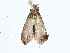  ( - BIOUG99546-B05)  @11 [ ] CreativeCommons - Attribution (2023) CBG Photography Group Centre for Biodiversity Genomics