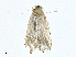  ( - BIOUG99548-A04)  @11 [ ] CreativeCommons - Attribution (2023) CBG Photography Group Centre for Biodiversity Genomics