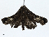  ( - BIOUG99548-B07)  @11 [ ] CreativeCommons - Attribution (2023) CBG Photography Group Centre for Biodiversity Genomics