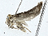  ( - BIOUG99548-D12)  @11 [ ] CreativeCommons - Attribution (2023) CBG Photography Group Centre for Biodiversity Genomics