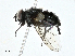  ( - BIOUG99548-H03)  @11 [ ] CreativeCommons - Attribution (2023) CBG Photography Group Centre for Biodiversity Genomics
