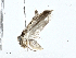  ( - CBG-A00282-A05)  @11 [ ] CreativeCommons - Attribution (2023) CBG Photography Group Centre for Biodiversity Genomics