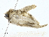  ( - CBG-A00282-B04)  @11 [ ] CreativeCommons - Attribution (2023) CBG Photography Group Centre for Biodiversity Genomics