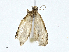  ( - CBG-A00282-G08)  @11 [ ] CreativeCommons - Attribution (2023) CBG Photography Group Centre for Biodiversity Genomics