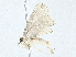  ( - CBG-A00282-G12)  @11 [ ] CreativeCommons - Attribution (2023) CBG Photography Group Centre for Biodiversity Genomics