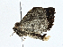  ( - CBG-A00283-B05)  @11 [ ] CreativeCommons - Attribution (2023) CBG Photography Group Centre for Biodiversity Genomics