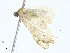  ( - CBG-A00283-C06)  @11 [ ] CreativeCommons - Attribution (2023) CBG Photography Group Centre for Biodiversity Genomics