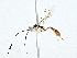  ( - CBG-A00283-F04)  @11 [ ] CreativeCommons - Attribution (2023) CBG Photography Group Centre for Biodiversity Genomics