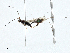  ( - CBG-A00283-F07)  @11 [ ] CreativeCommons - Attribution (2023) CBG Photography Group Centre for Biodiversity Genomics