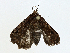  ( - CBG-A00284-B02)  @11 [ ] CreativeCommons - Attribution (2023) CBG Photography Group Centre for Biodiversity Genomics