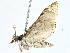  ( - CBG-A00284-B04)  @11 [ ] CreativeCommons - Attribution (2023) CBG Photography Group Centre for Biodiversity Genomics