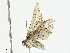  ( - CBG-A00284-D01)  @11 [ ] CreativeCommons - Attribution (2023) CBG Photography Group Centre for Biodiversity Genomics