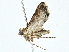  ( - CBG-A00285-H09)  @11 [ ] CreativeCommons - Attribution (2023) CBG Photography Group Centre for Biodiversity Genomics