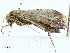  ( - CBG-A00286-A02)  @11 [ ] CreativeCommons - Attribution (2023) CBG Photography Group Centre for Biodiversity Genomics