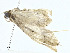  ( - CBG-A00286-A05)  @11 [ ] CreativeCommons - Attribution (2023) CBG Photography Group Centre for Biodiversity Genomics