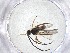  ( - CBG-A51525-H07)  @11 [ ] CreativeCommons - Attribution Share - Alike (2024) Centre for Biodiversity Genomics Centre for Biodiversity Genomics
