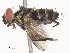  ( - CBG-A51899-E12)  @11 [ ] CreativeCommons - Attribution Share - Alike (2024) CBG Photography Group Centre for Biodiversity Genomics