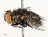  ( - CBG-A51900-E09)  @11 [ ] CreativeCommons - Attribution Share - Alike (2024) CBG Photography Group Centre for Biodiversity Genomics