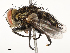  ( - CBG-A51900-E10)  @11 [ ] CreativeCommons - Attribution Share - Alike (2024) CBG Photography Group Centre for Biodiversity Genomics