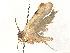  ( - CBG-A51901-A07)  @11 [ ] CreativeCommons - Attribution (2024) CBG Photography Group Centre for Biodiversity Genomics
