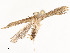 ( - CBG-A51901-A09)  @11 [ ] CreativeCommons - Attribution Share - Alike (2024) CBG Photography Group Centre for Biodiversity Genomics