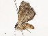 ( - CBG-A51902-A09)  @11 [ ] CreativeCommons - Attribution Share - Alike (2024) CBG Photography Group Centre for Biodiversity Genomics