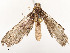  ( - CBG-A51902-A10)  @11 [ ] CreativeCommons - Attribution Share - Alike (2024) CBG Photography Group Centre for Biodiversity Genomics