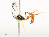  ( - CBG-A51902-D09)  @11 [ ] CreativeCommons - Attribution Share - Alike (2024) CBG Photography Group Centre for Biodiversity Genomics