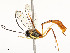  ( - CBG-A51902-D10)  @11 [ ] CreativeCommons - Attribution Share - Alike (2024) CBG Photography Group Centre for Biodiversity Genomics