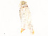  ( - CBG-A51902-H02)  @11 [ ] CreativeCommons - Attribution Share - Alike (2024) CBG Photography Group Centre for Biodiversity Genomics
