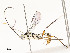  ( - CBG-A51903-C05)  @11 [ ] CreativeCommons - Attribution Share - Alike (2024) CBG Photography Group Centre for Biodiversity Genomics