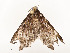  ( - CBG-A51903-F04)  @11 [ ] CreativeCommons - Attribution Share - Alike (2024) CBG Photography Group Centre for Biodiversity Genomics