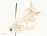  ( - CBG-A51903-G05)  @11 [ ] CreativeCommons - Attribution Share - Alike (2024) CBG Photography Group Centre for Biodiversity Genomics